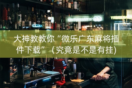 大神教教你“微乐广东麻将插件下载”（究竟是不是有挂)
