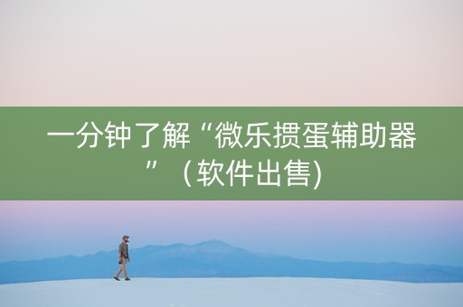 一分钟了解“微乐掼蛋辅助器”（软件出售)