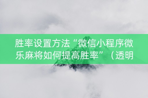 胜率设置方法“微信小程序微乐麻将如何提高胜率”（透明挂辅助器)