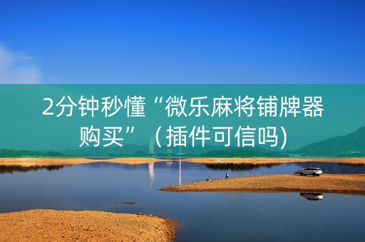 2分钟秒懂“微乐麻将铺牌器购买”（插件可信吗)
