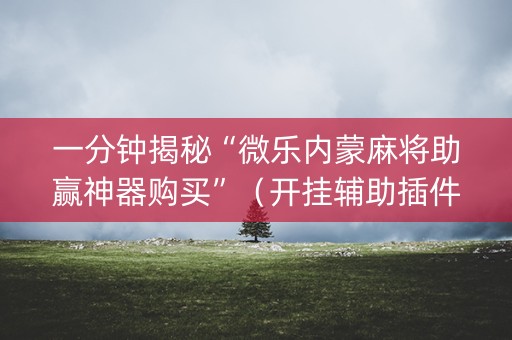 一分钟揭秘“微乐内蒙麻将助赢神器购买”（开挂辅助插件)