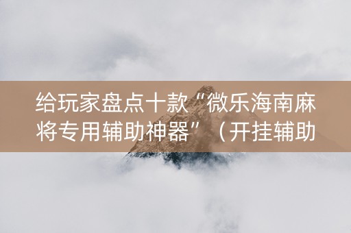 给玩家盘点十款“微乐海南麻将专用辅助神器”（开挂辅助脚本)