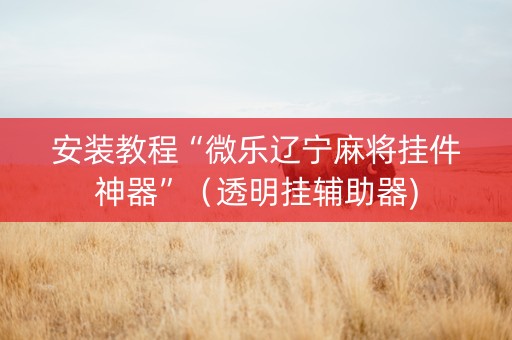 安装教程“微乐辽宁麻将挂件神器”（透明挂辅助器)