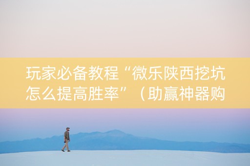 玩家必备教程“微乐陕西挖坑怎么提高胜率”（助赢神器购买)