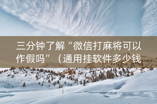 三分钟了解“微信打麻将可以作假吗”（通用挂软件多少钱)