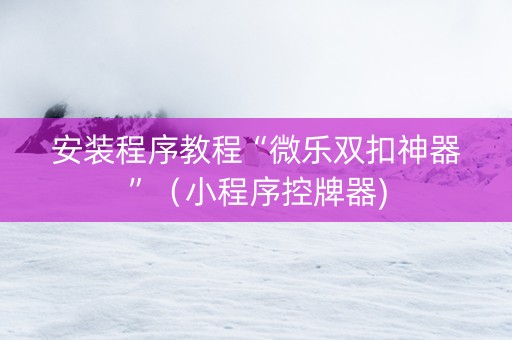 安装程序教程“微乐双扣神器”（小程序控牌器)