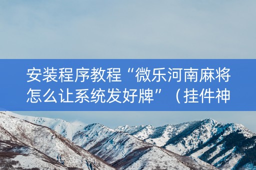 安装程序教程“微乐河南麻将怎么让系统发好牌”（挂件神器)