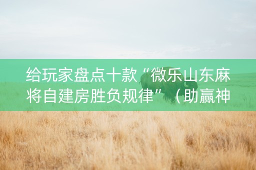给玩家盘点十款“微乐山东麻将自建房胜负规律”（助赢神器)