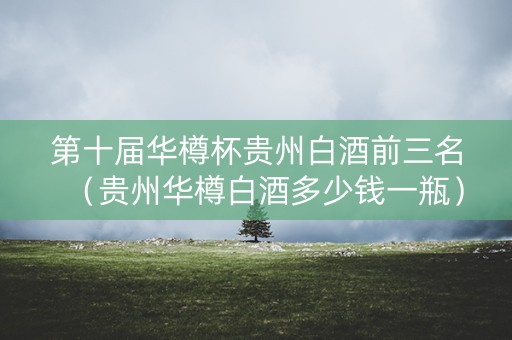 第十届华樽杯贵州白酒前三名（贵州华樽白酒多少钱一瓶）