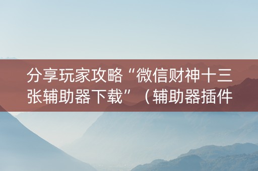 分享玩家攻略“微信财神十三张辅助器下载”（辅助器插件)
