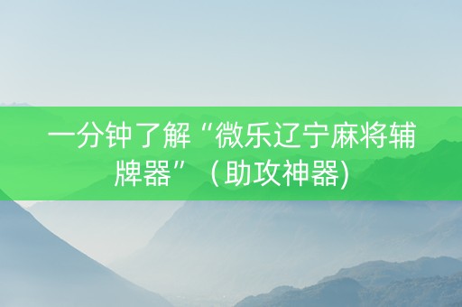 一分钟了解“微乐辽宁麻将辅牌器”（助攻神器)
