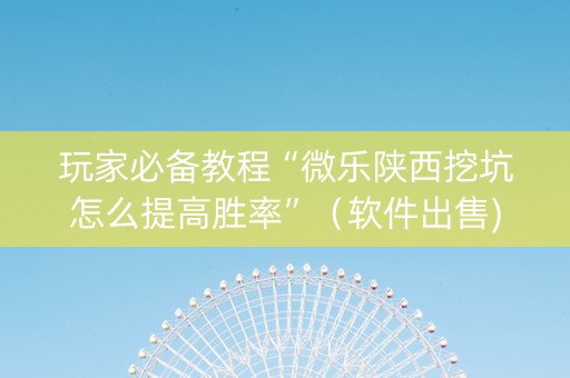 玩家必备教程“微乐陕西挖坑怎么提高胜率”（软件出售)