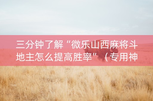 三分钟了解“微乐山西麻将斗地主怎么提高胜率”（专用神器)