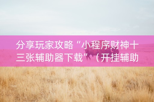 分享玩家攻略“小程序财神十三张辅助器下载”（开挂辅助器脚本)