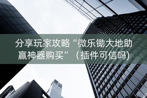 分享玩家攻略“微乐锄大地助赢神器购买”（插件可信吗)