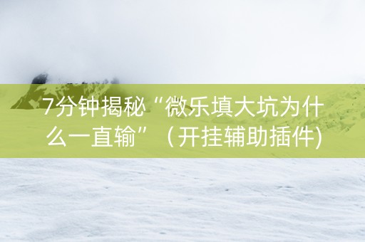 7分钟揭秘“微乐填大坑为什么一直输”（开挂辅助插件)