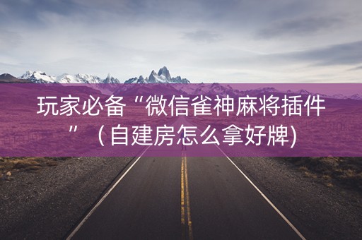 玩家必备“微信雀神麻将插件”（自建房怎么拿好牌)