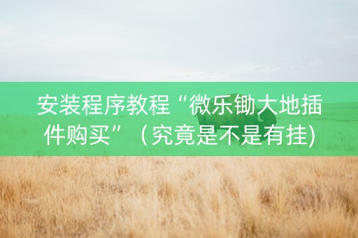 安装程序教程“微乐锄大地插件购买”（究竟是不是有挂)