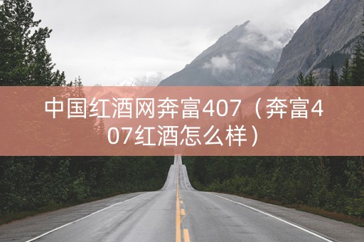 中国红酒网奔富407（奔富407红酒怎么样）
