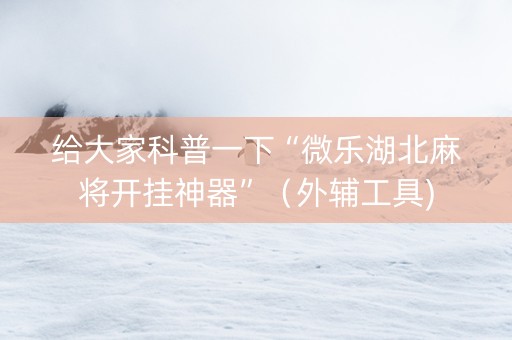 给大家科普一下“微乐湖北麻将开挂神器”（外辅工具)