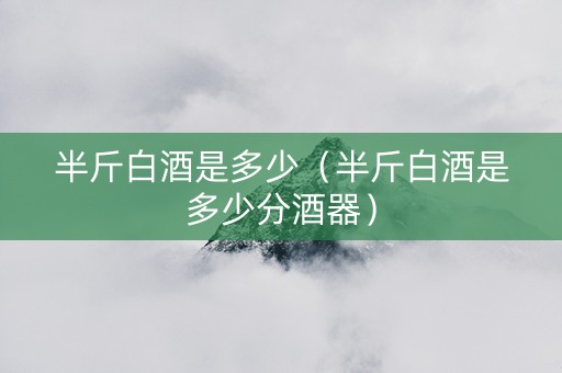 半斤白酒是多少（半斤白酒是多少分酒器）