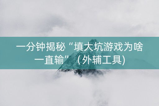 一分钟揭秘“填大坑游戏为啥一直输”（外辅工具)