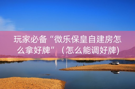 玩家必备“微乐保皇自建房怎么拿好牌”（怎么能调好牌)