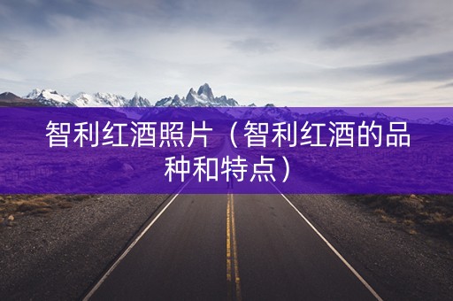智利红酒照片（智利红酒的品种和特点）