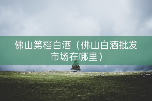 佛山第档白酒（佛山白酒批发市场在哪里）