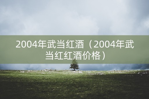 2004年武当红酒（2004年武当红红酒价格）