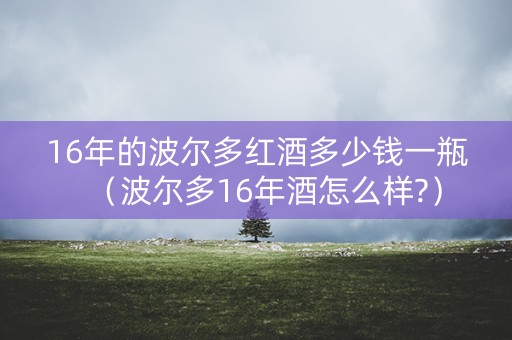16年的波尔多红酒多少钱一瓶（波尔多16年酒怎么样?）