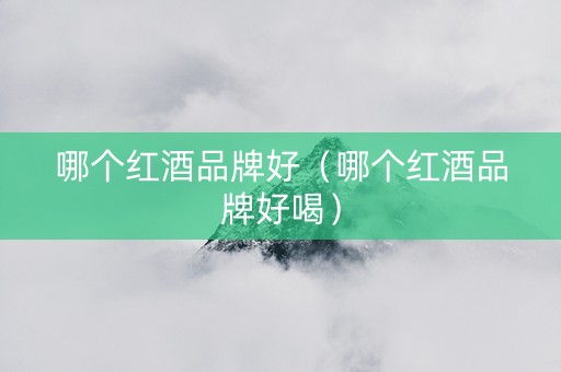 哪个红酒品牌好（哪个红酒品牌好喝）