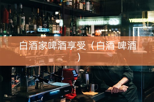 白酒家啤酒享受（白酒 啤酒）