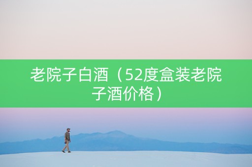 老院子白酒（52度盒装老院子酒价格）