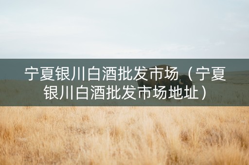 宁夏银川白酒批发市场（宁夏银川白酒批发市场地址）