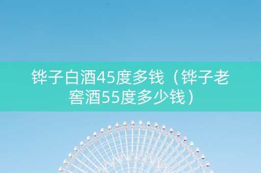 铧子白酒45度多钱（铧子老窖酒55度多少钱）