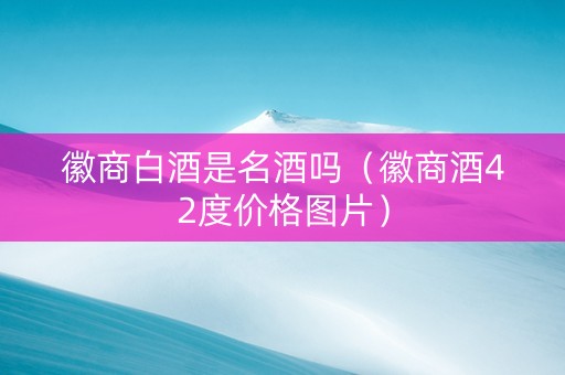 徽商白酒是名酒吗（徽商酒42度价格图片）