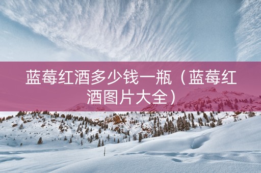 蓝莓红酒多少钱一瓶（蓝莓红酒图片大全）