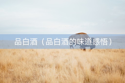 品白酒（品白酒的味道感悟）
