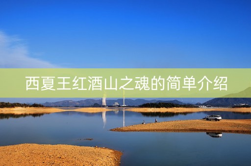 西夏王红酒山之魂的简单介绍