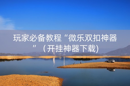 玩家必备教程“微乐双扣神器”（开挂神器下载)
