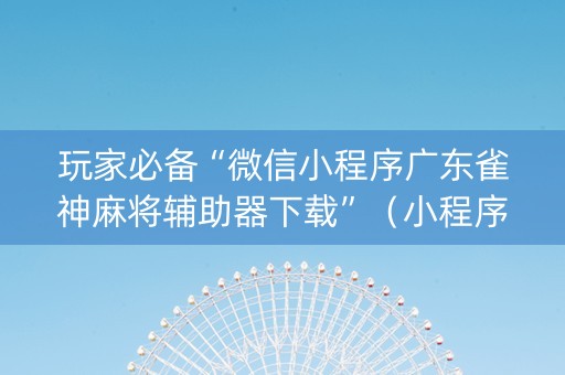 玩家必备“微信小程序广东雀神麻将辅助器下载”（小程序控牌器)