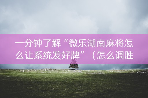一分钟了解“微乐湖南麻将怎么让系统发好牌”（怎么调胜率)