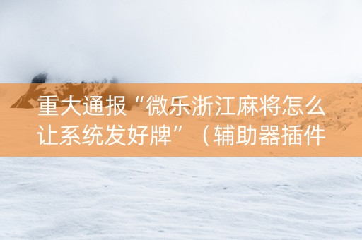 重大通报“微乐浙江麻将怎么让系统发好牌”（辅助器插件)