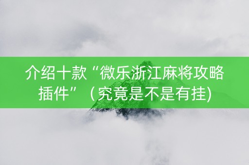 介绍十款“微乐浙江麻将攻略插件”（究竟是不是有挂)