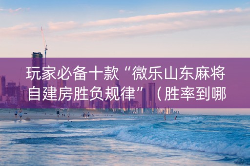 玩家必备十款“微乐山东麻将自建房胜负规律”（胜率到哪调)