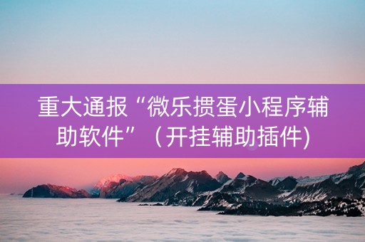 重大通报“微乐掼蛋小程序辅助软件”（开挂辅助插件)