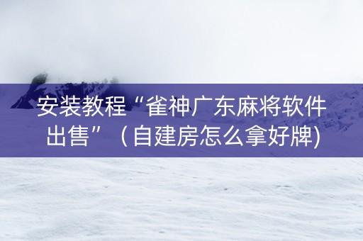 安装教程“雀神广东麻将软件出售”（自建房怎么拿好牌)