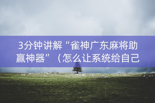 3分钟讲解“雀神广东麻将助赢神器”（怎么让系统给自己好牌)