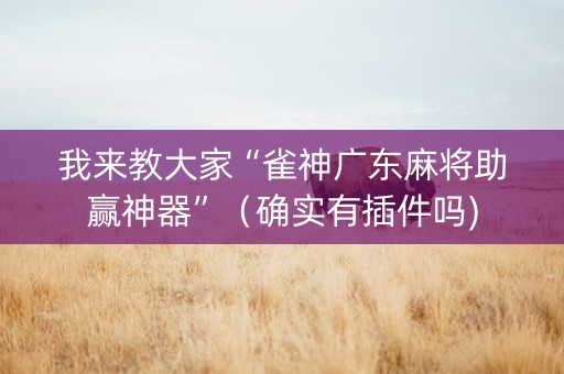 我来教大家“雀神广东麻将助赢神器”（确实有插件吗)
